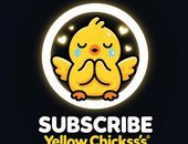 Yellow Chicksss