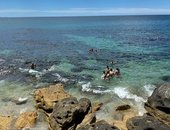 Simply_aussie