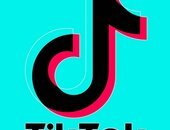 Tik Tok Da Zoeira