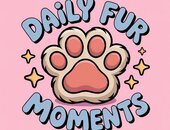 Daily Fur Moments