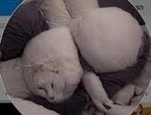 Sandra Morales